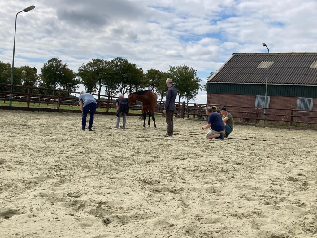 team coaching met paarden